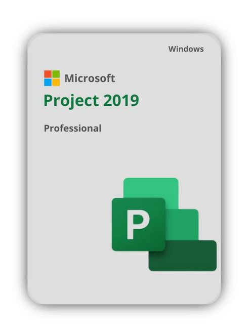 Microsoft Project 2019 Professionnel